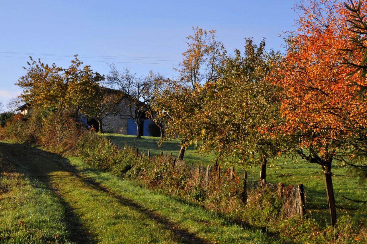 Terres De La Grange Bed & Breakfast Cuisiat Екстериор снимка