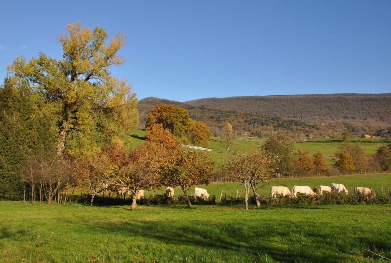 Terres De La Grange Bed & Breakfast Cuisiat Екстериор снимка